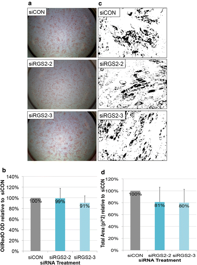 Fig. 5