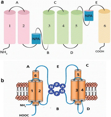 Fig. 1