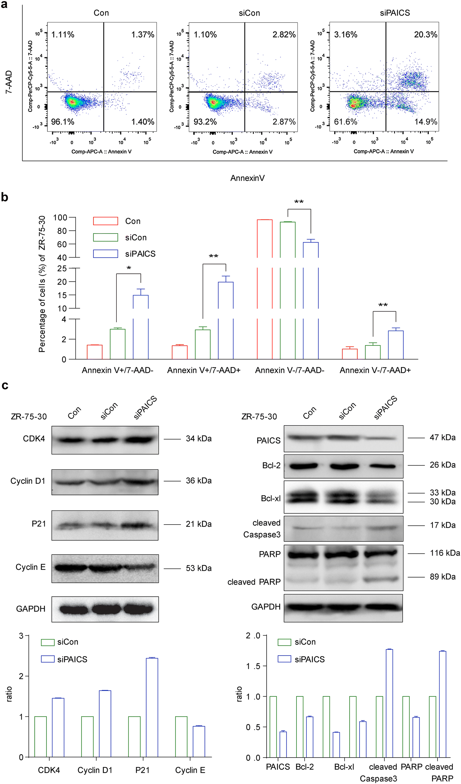 Fig. 5