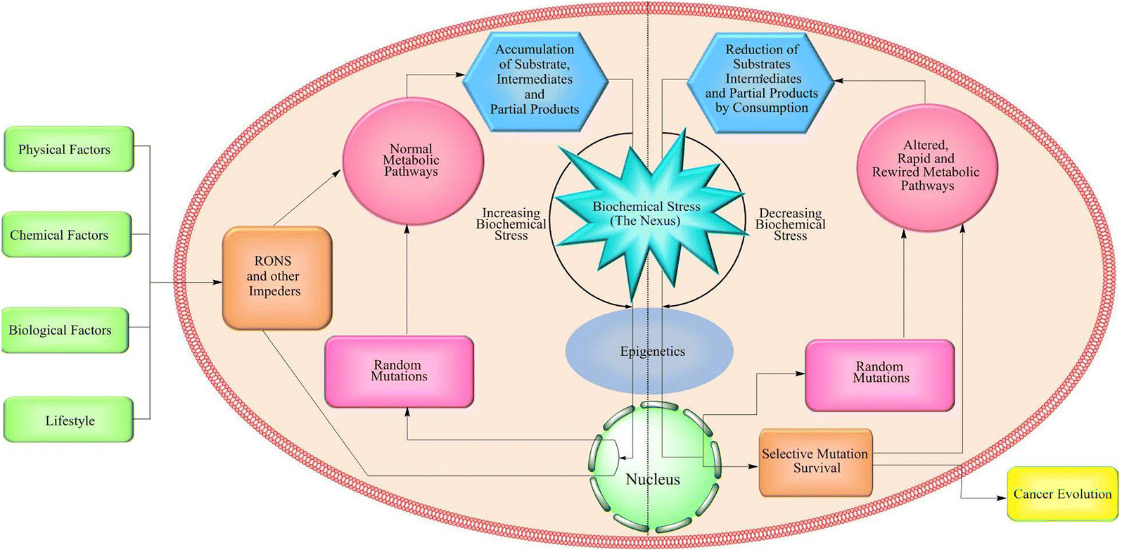 Fig. 1