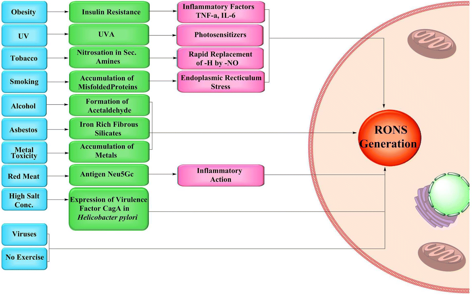 Fig. 2