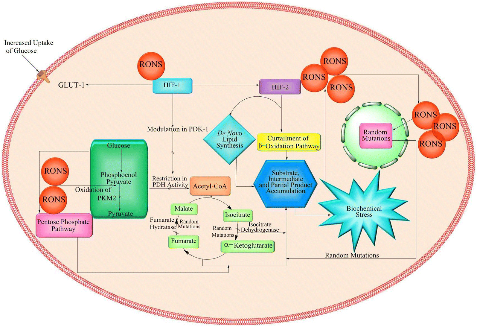 Fig. 3