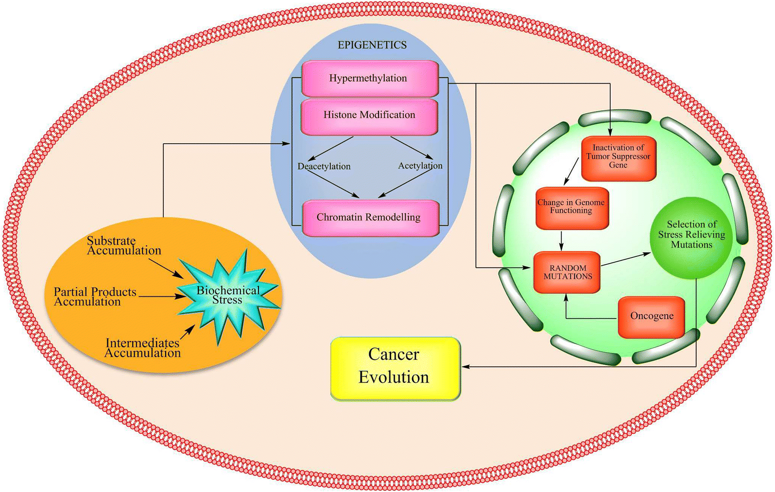 Fig. 4