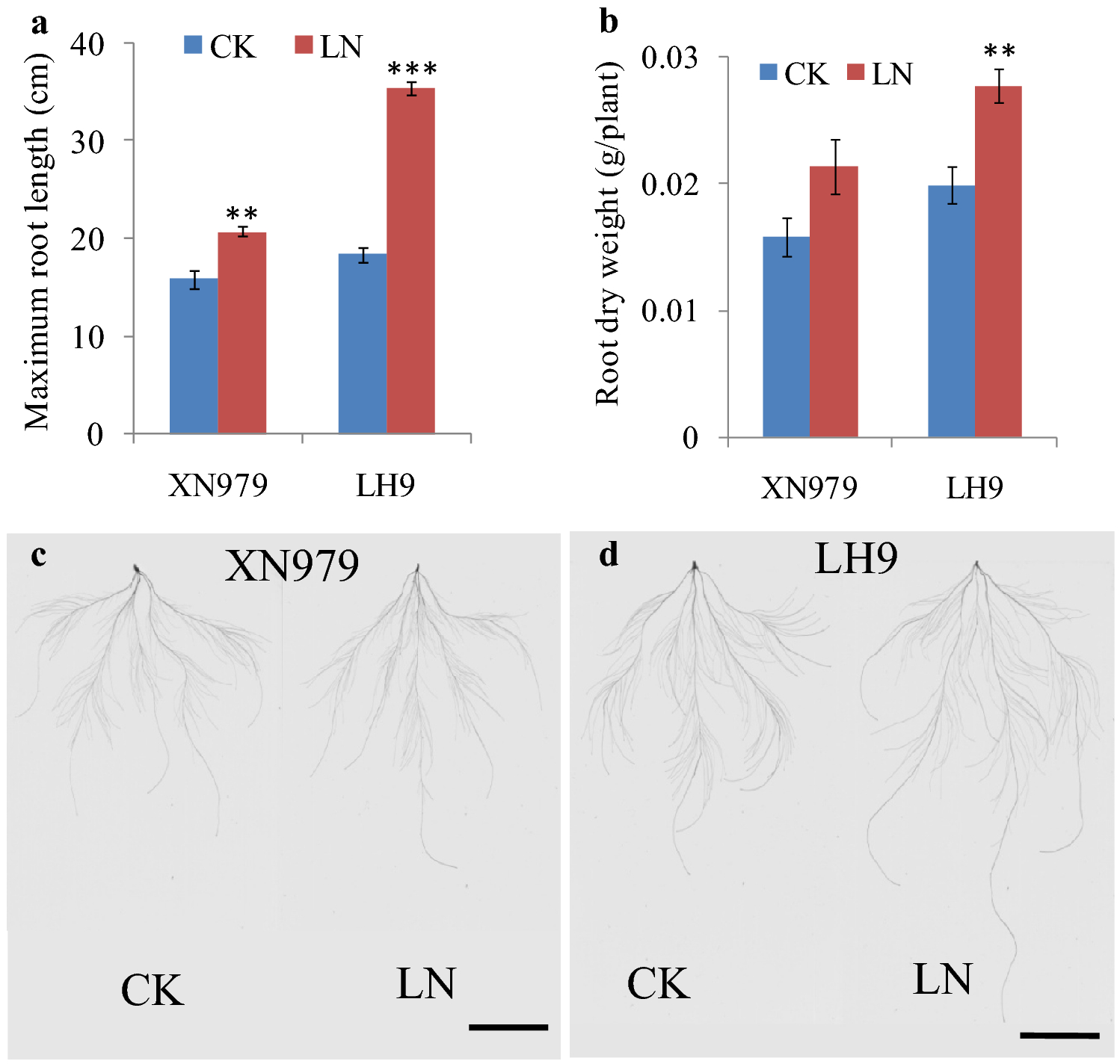 Fig. 1