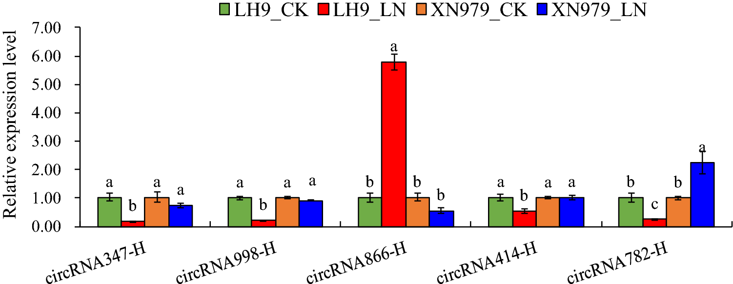 Fig. 4