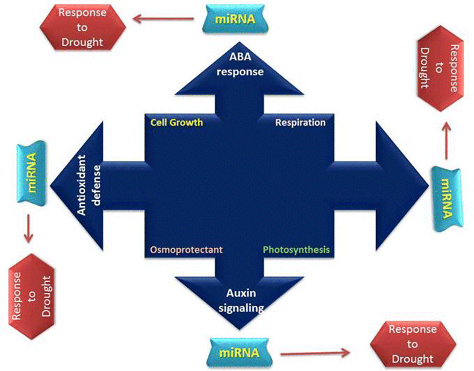 Fig. 4