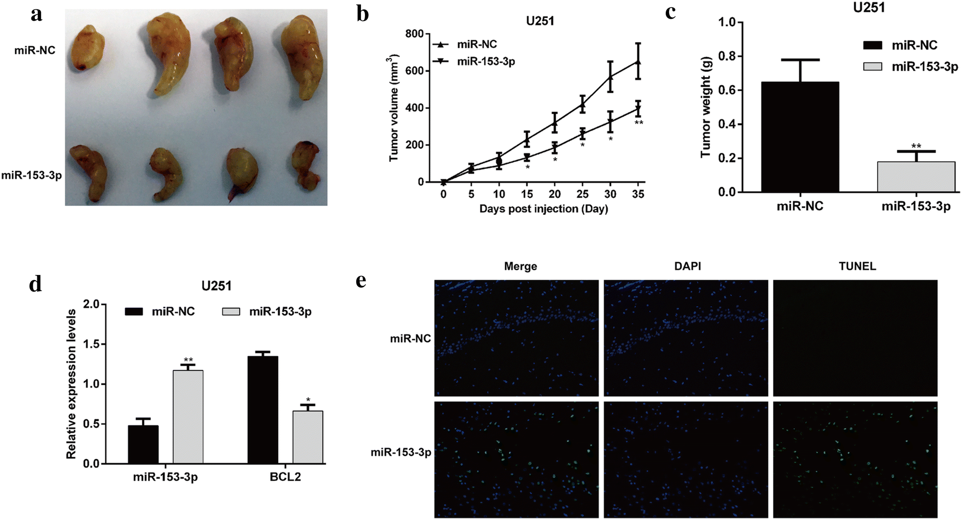 Fig. 6