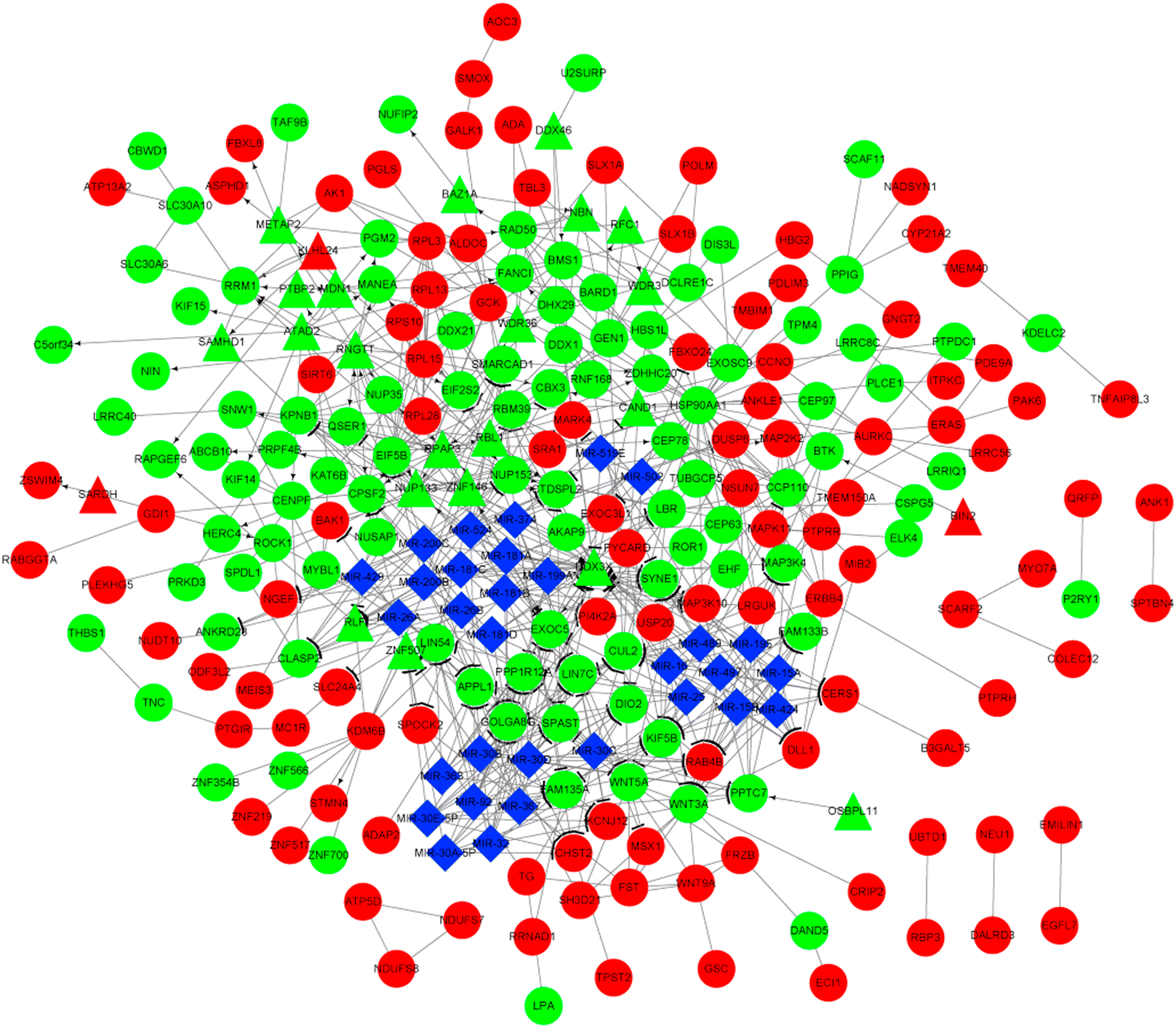 Fig. 7