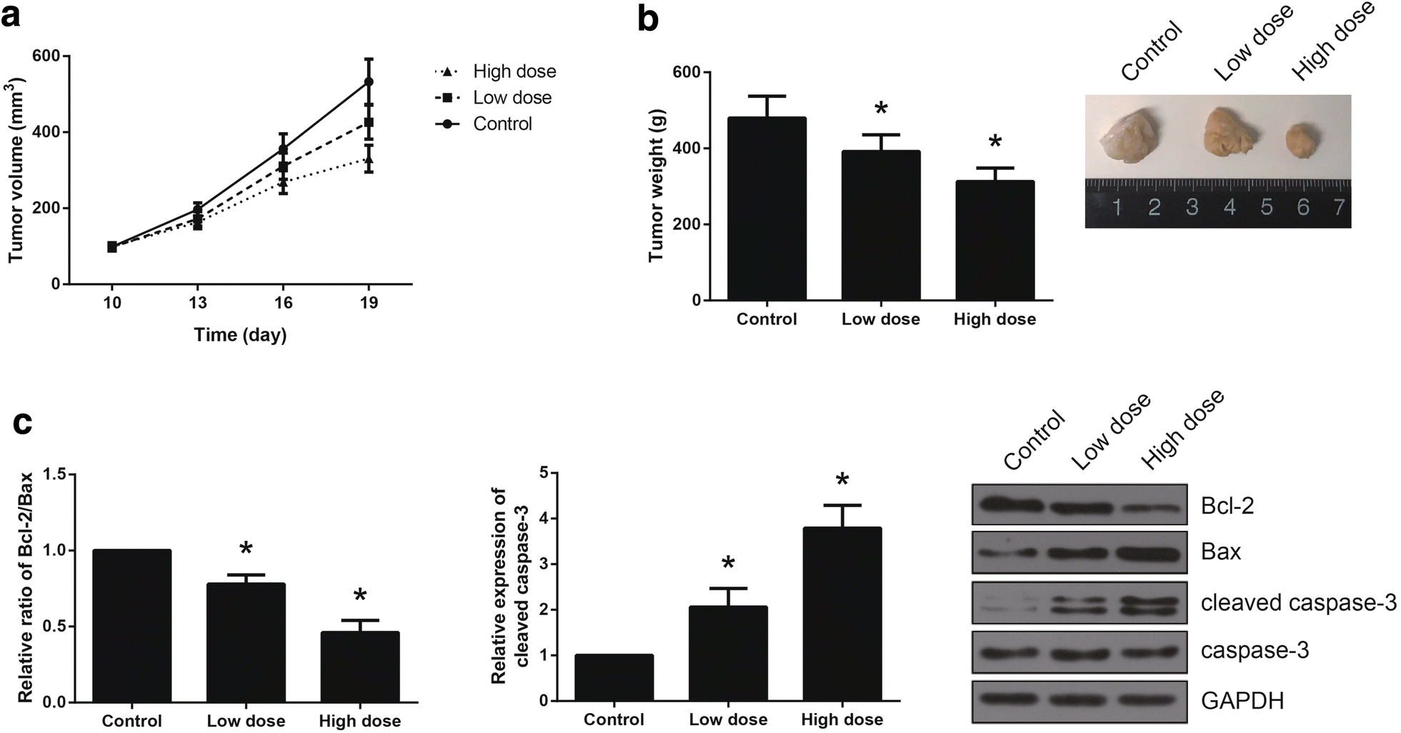 Fig. 3