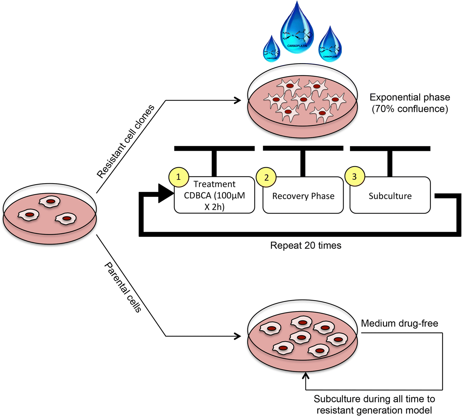 Fig. 7