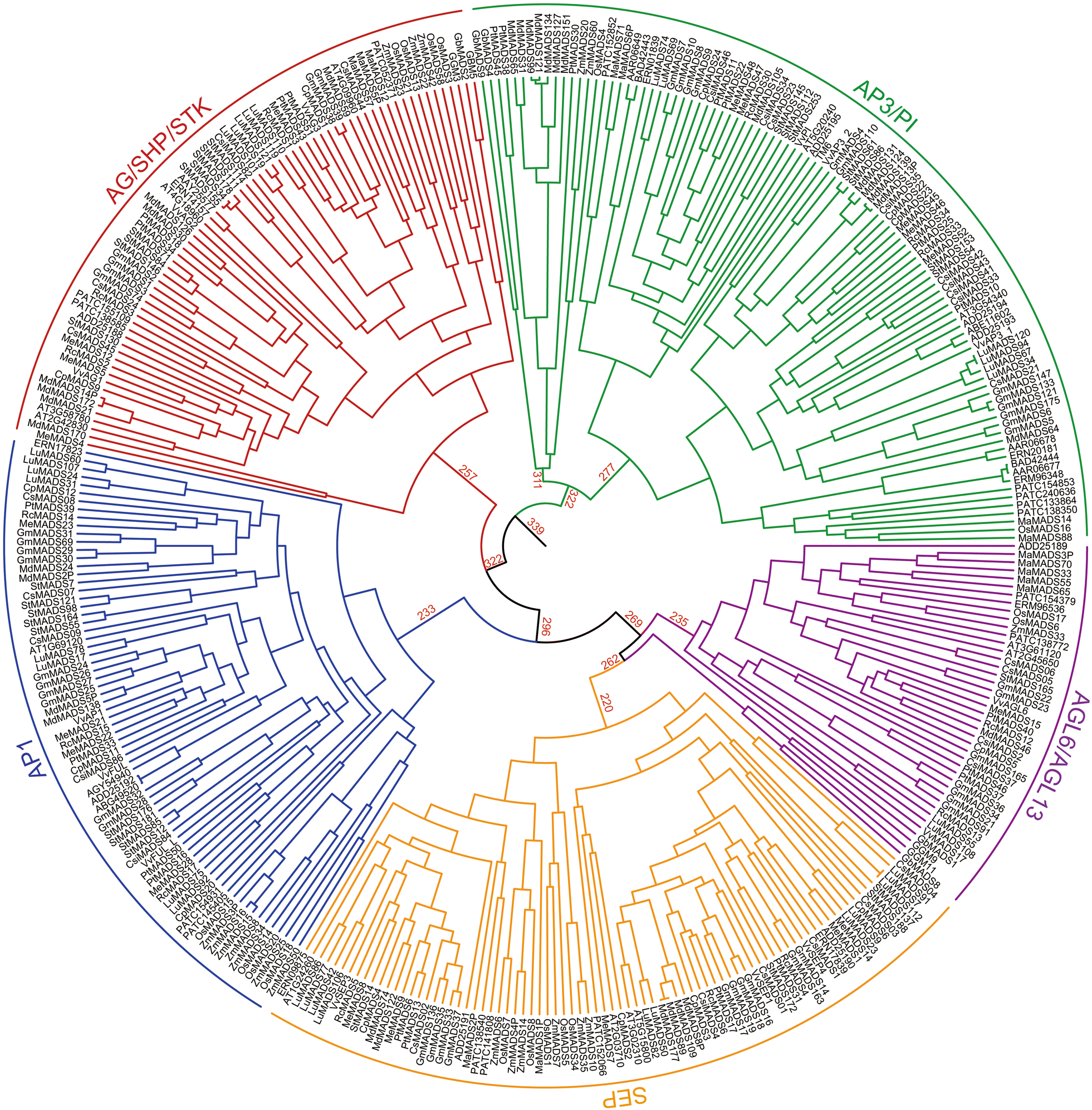 Fig. 2