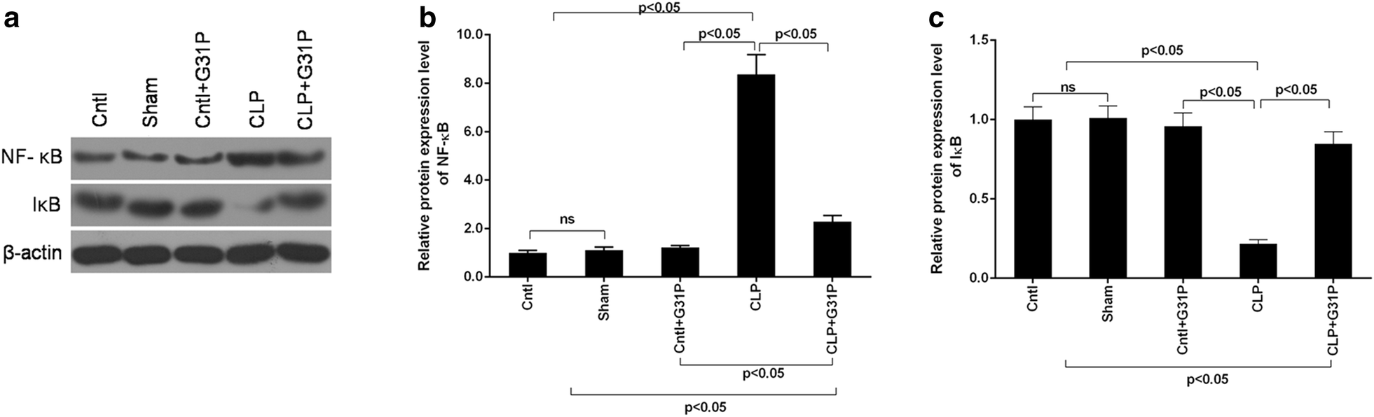 Fig. 6