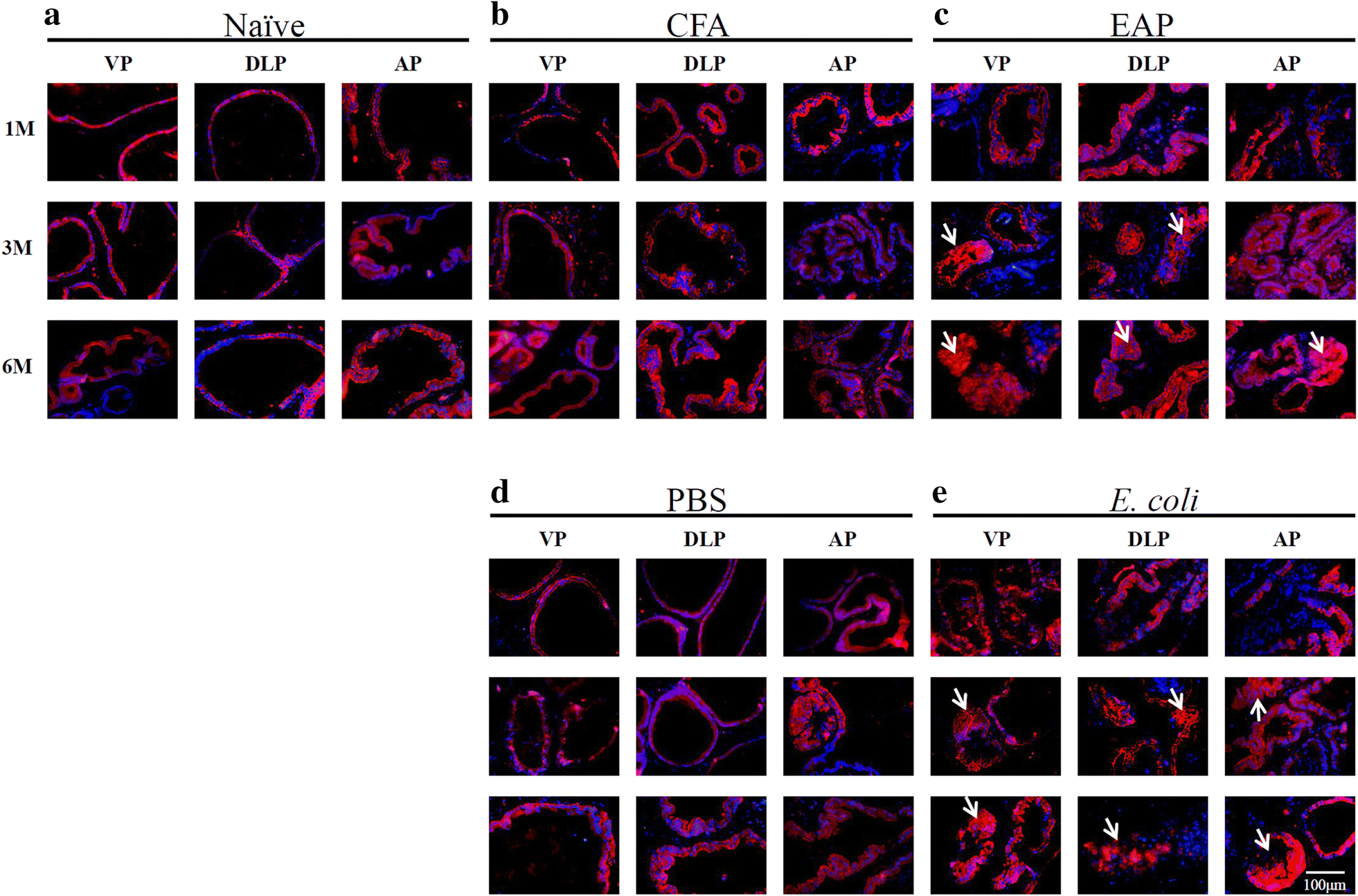 Fig. 4