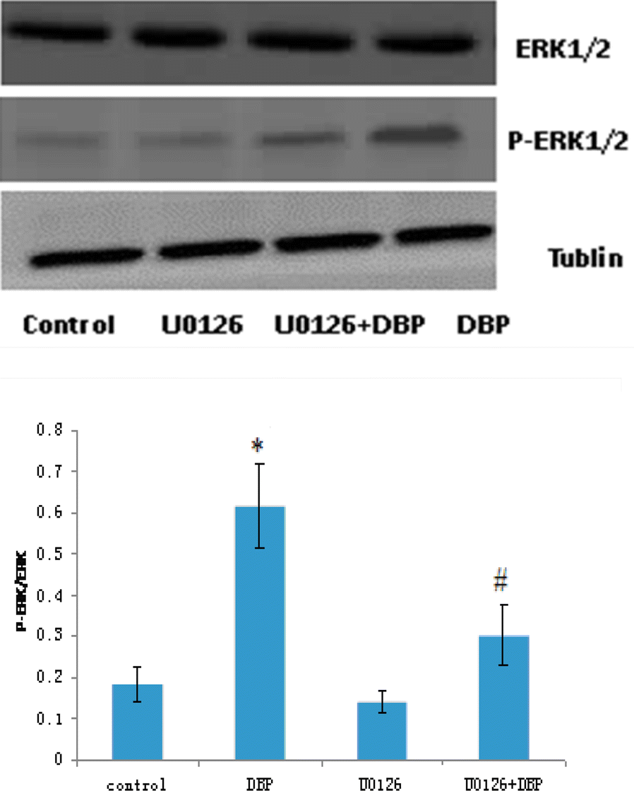 Fig. 6