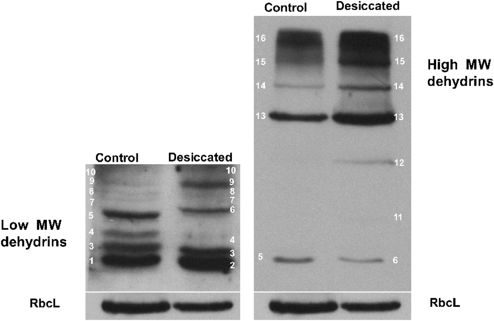 Fig. 7