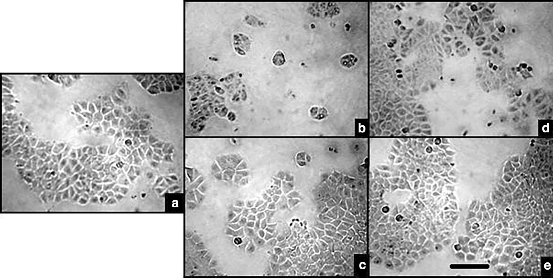 Fig. 5