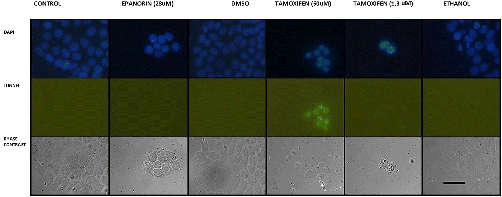 Fig. 8