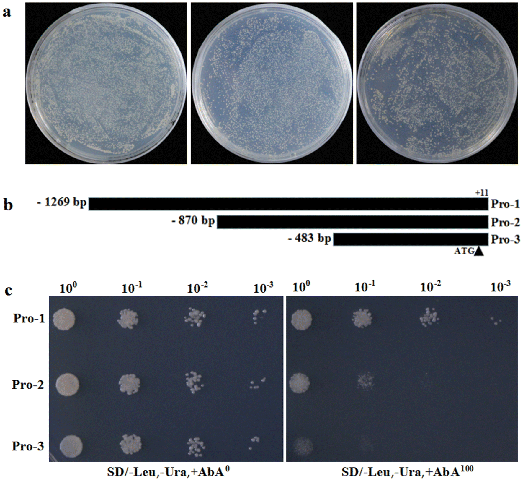 Fig. 2