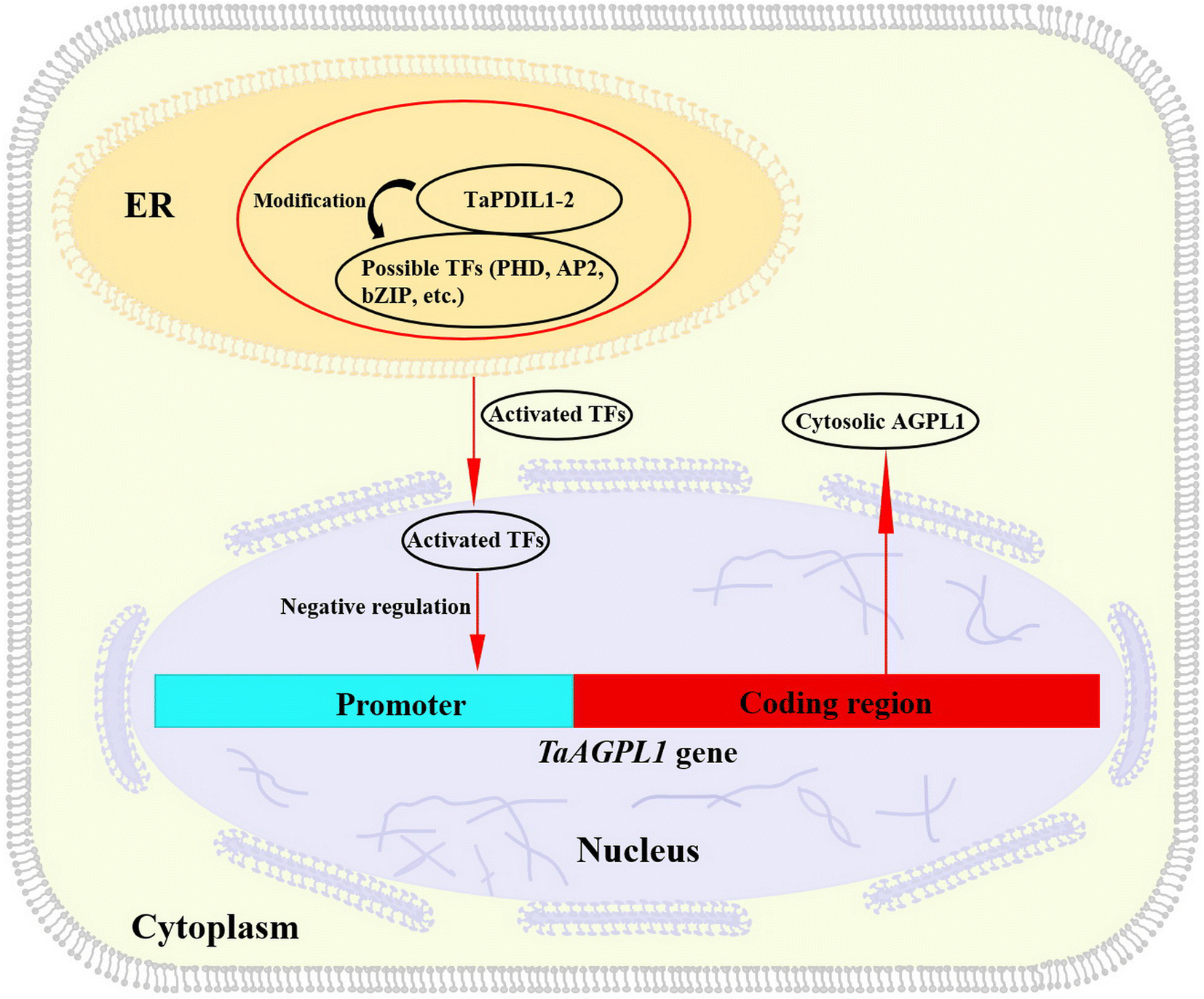 Fig. 5