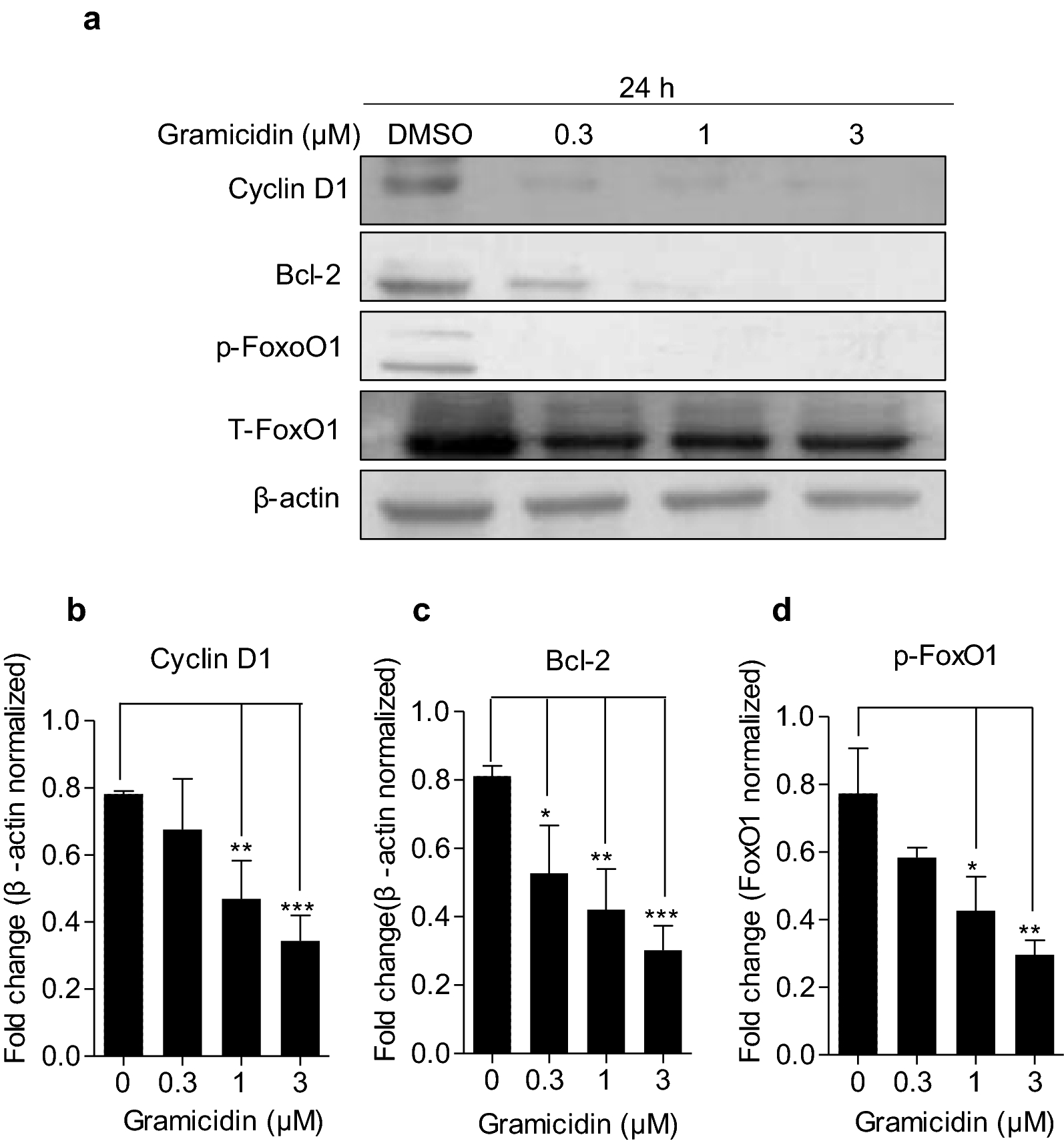 Fig. 6