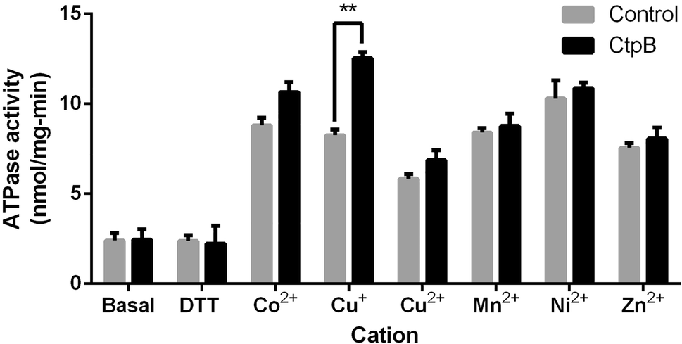 Fig. 3