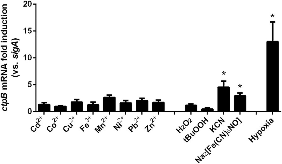 Fig. 8