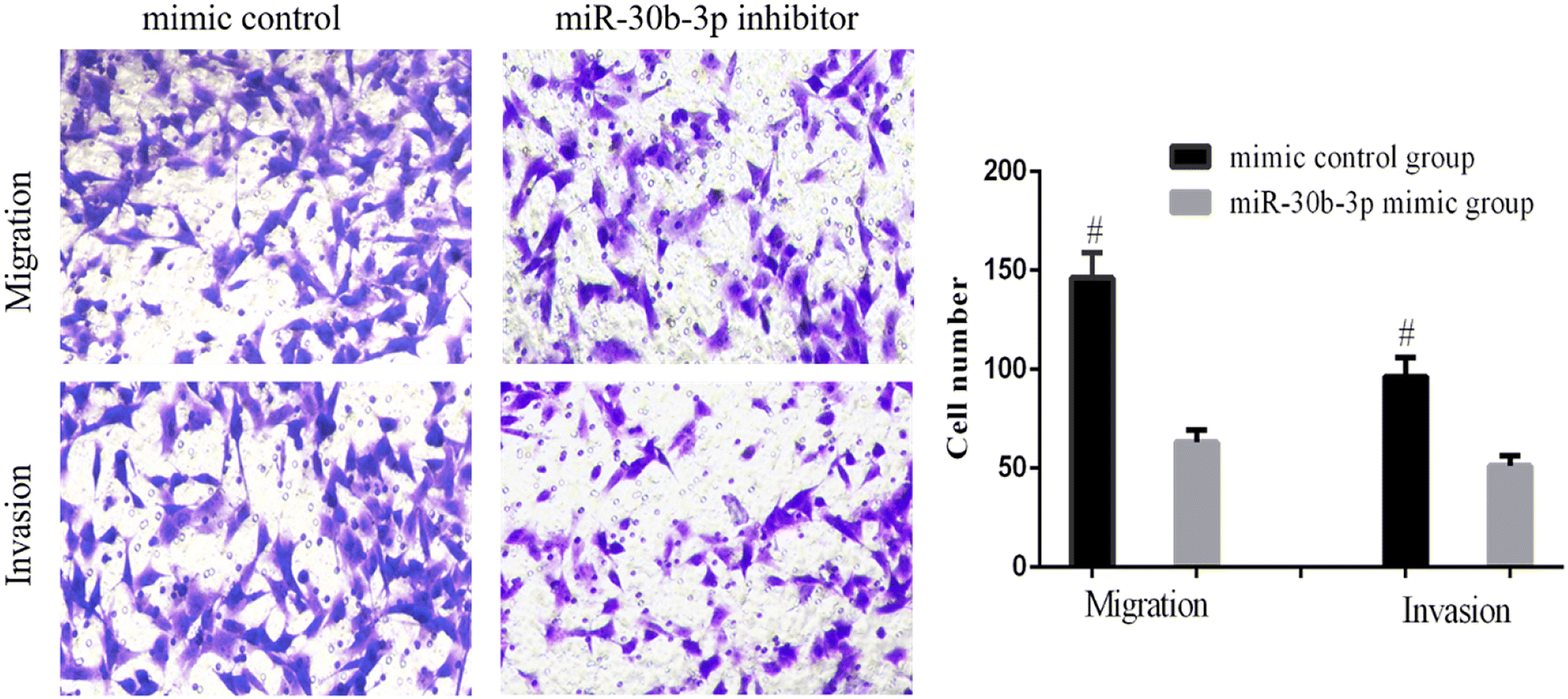 Fig. 3