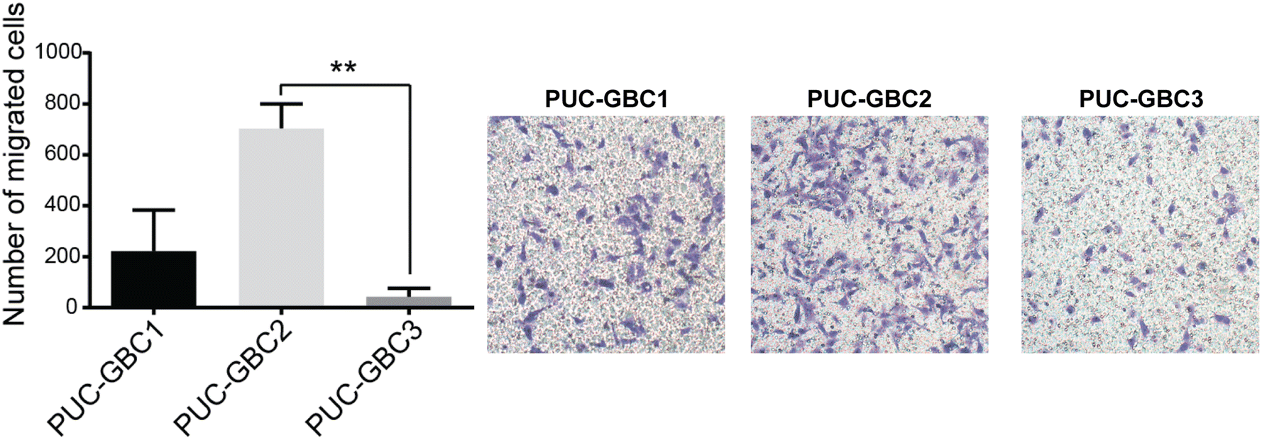 Fig. 7