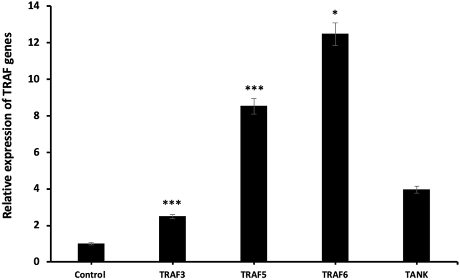 Fig. 10