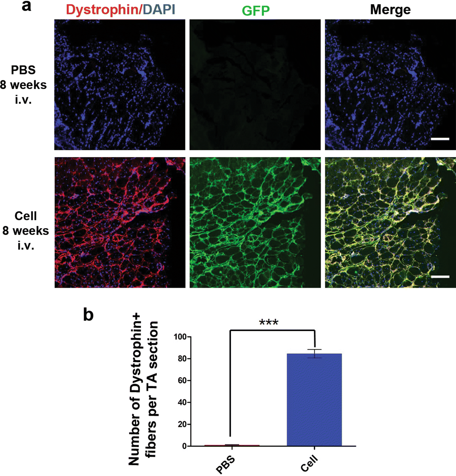 Fig. 4