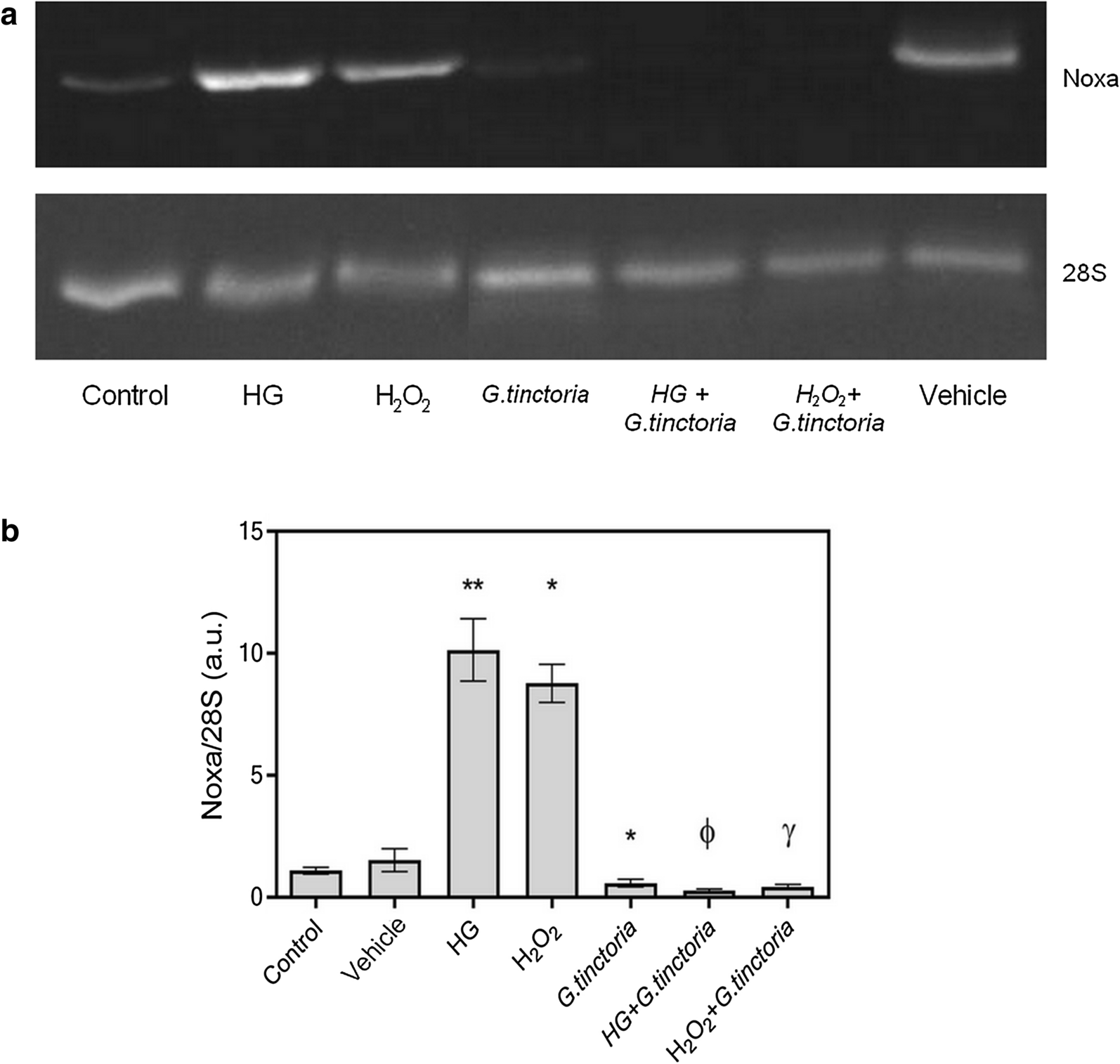 Fig. 4