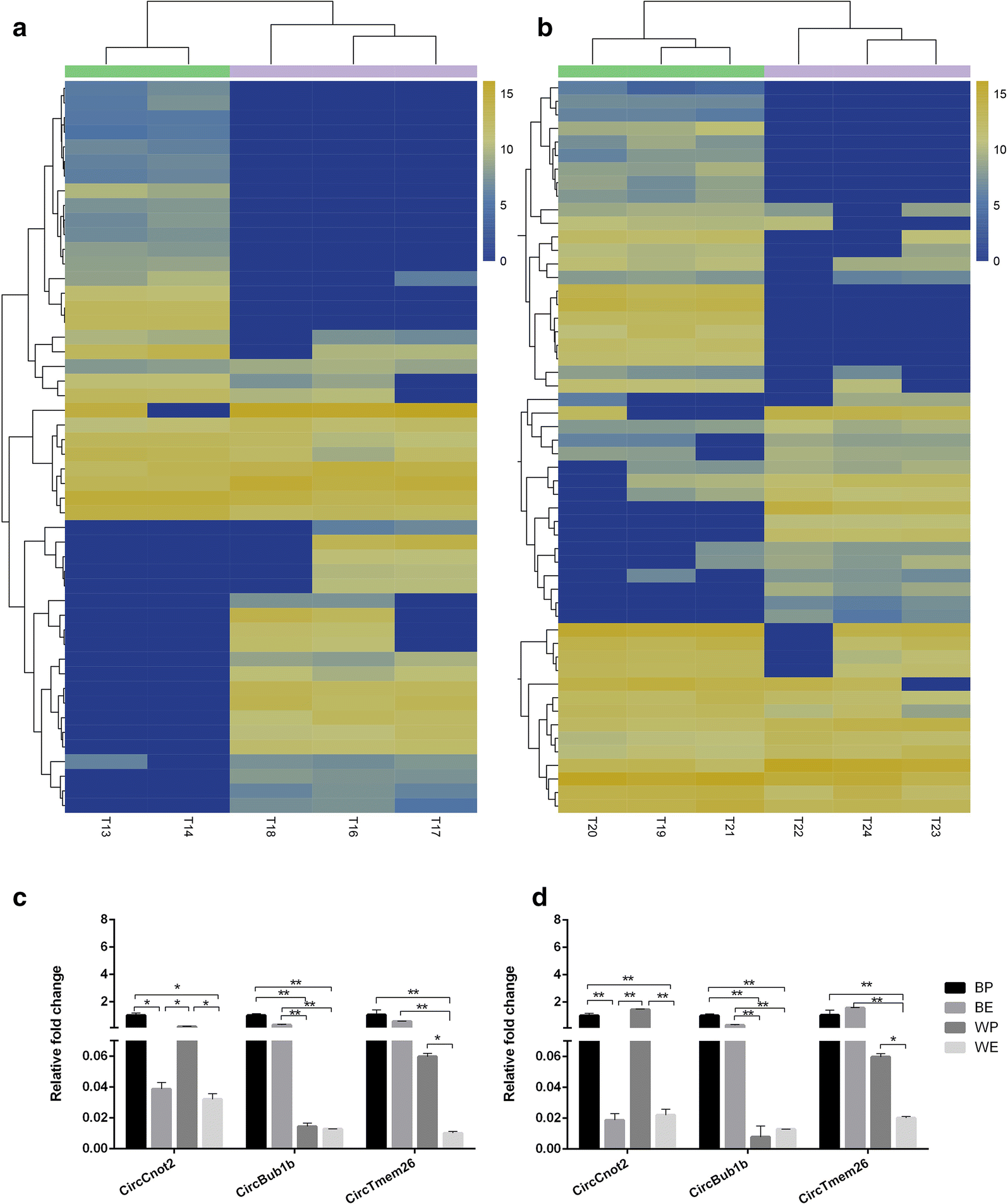 Fig. 6