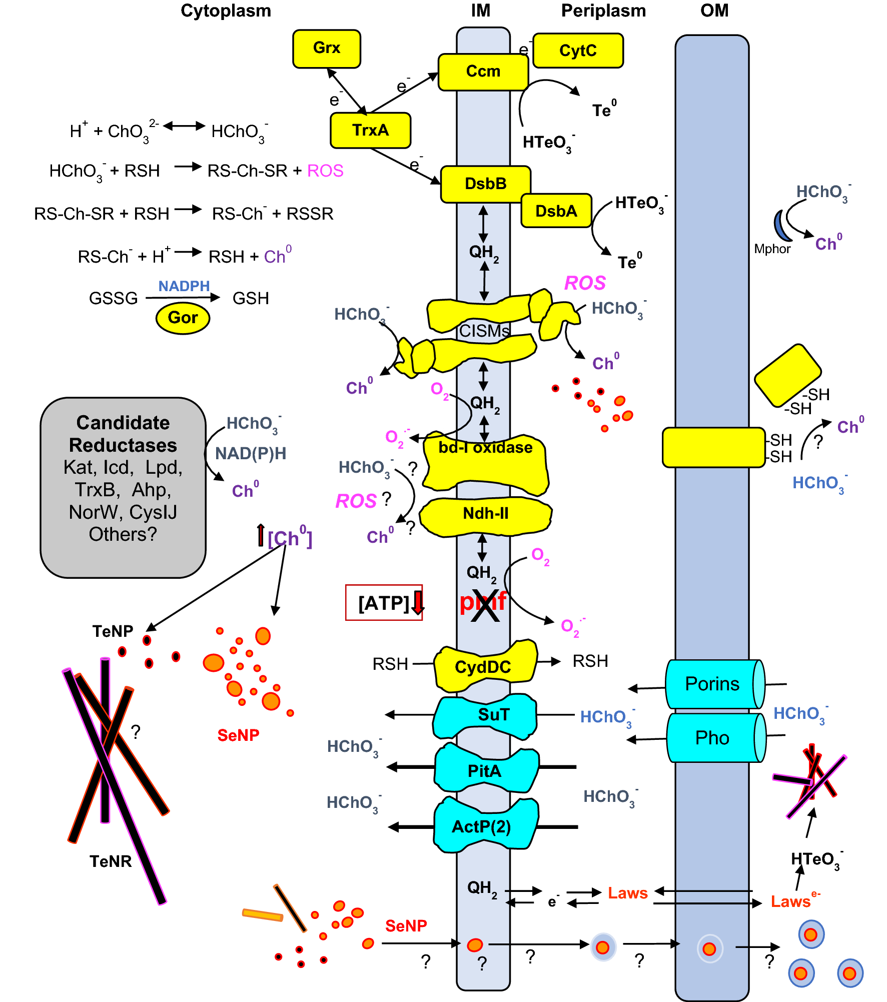 Fig. 3