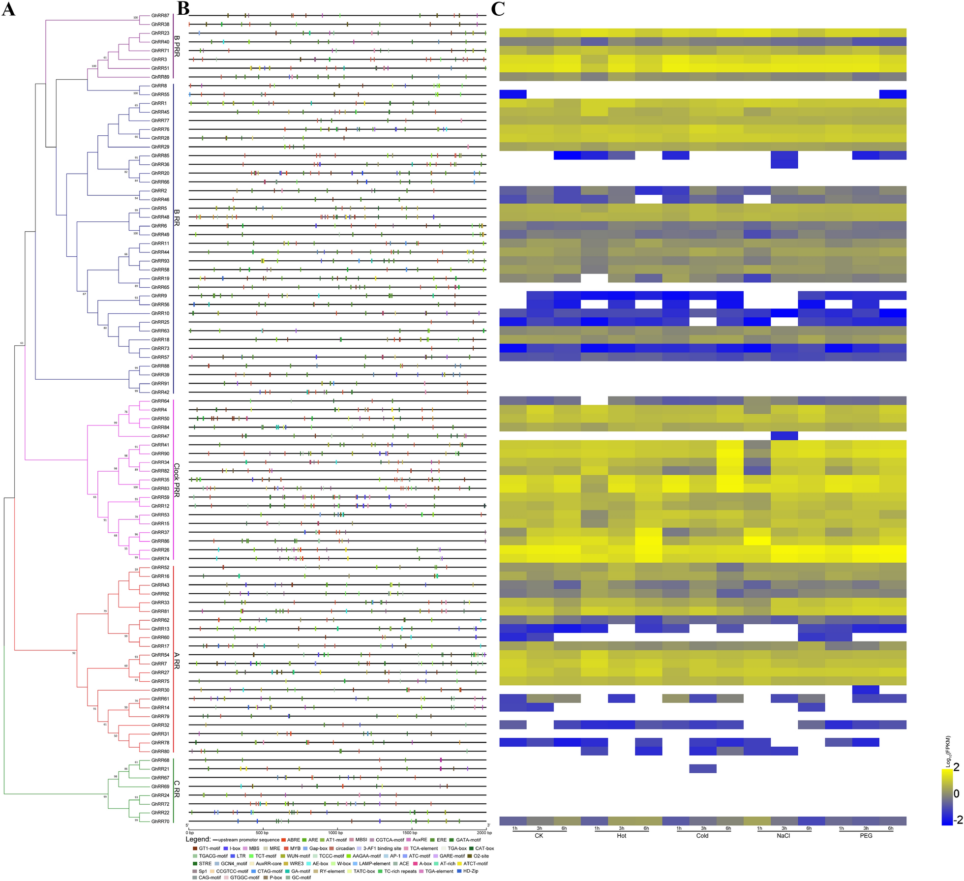 Fig. 4