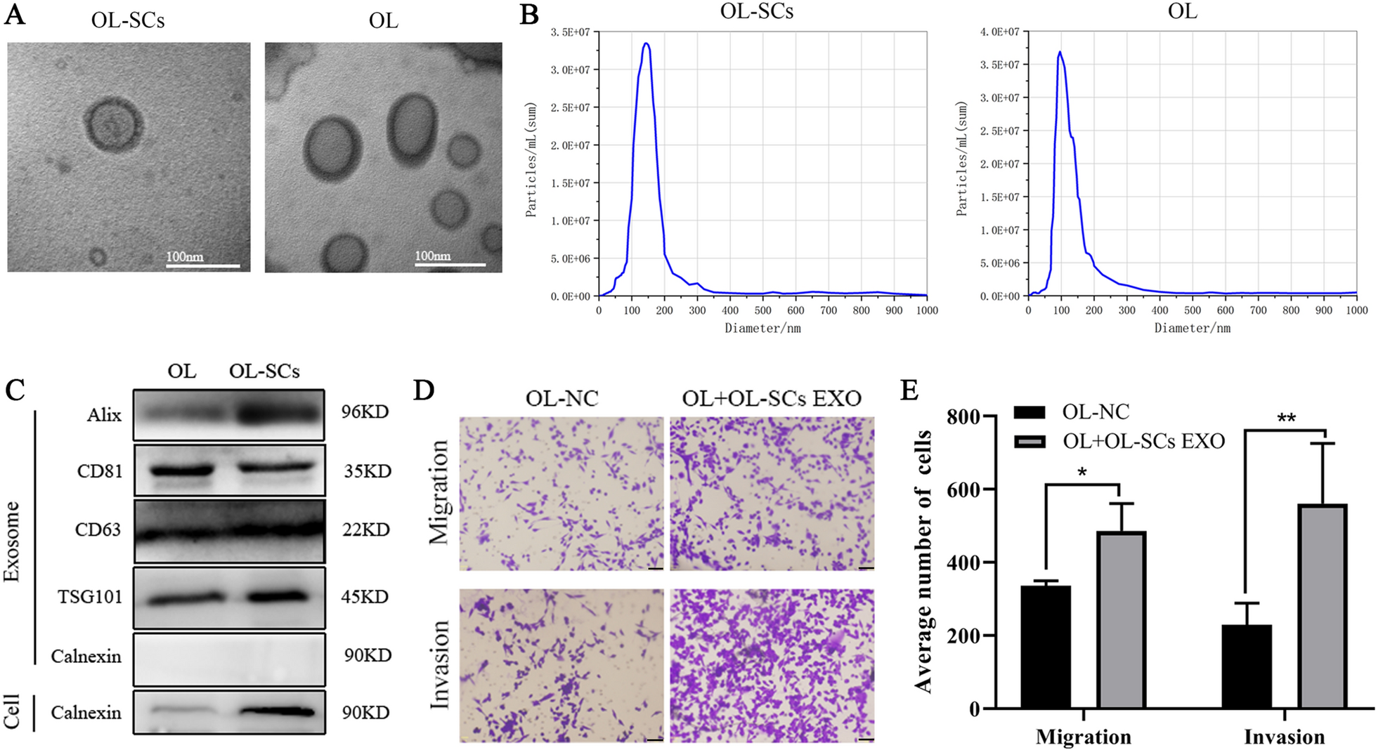 Fig.1