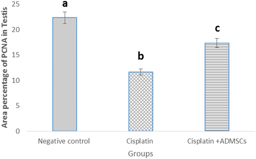 Fig. 13