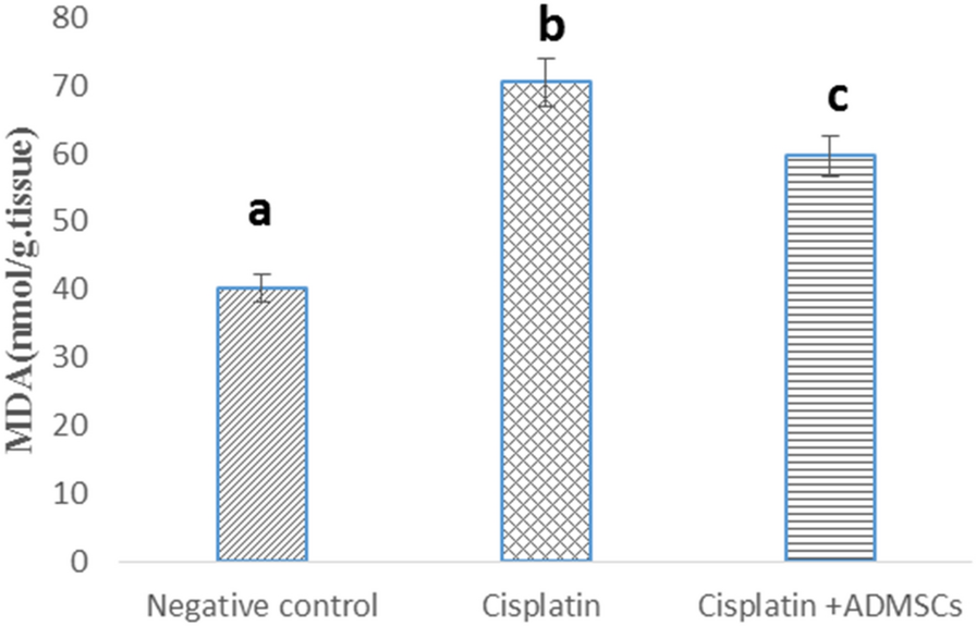 Fig. 14