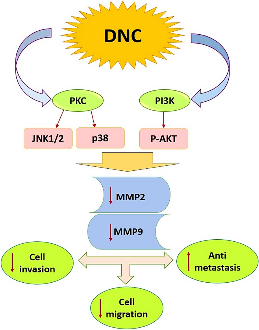 Fig. 13