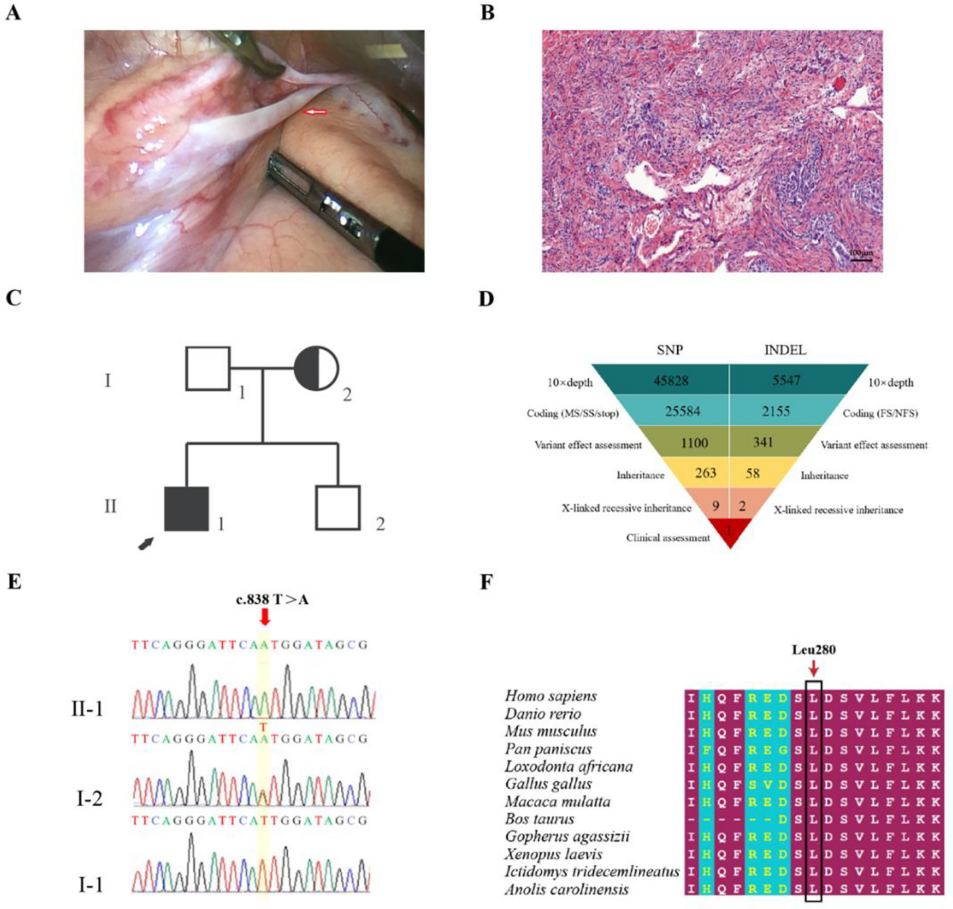 Fig. 1