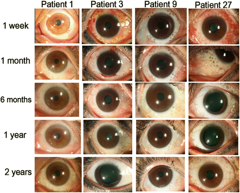 Fig. 8