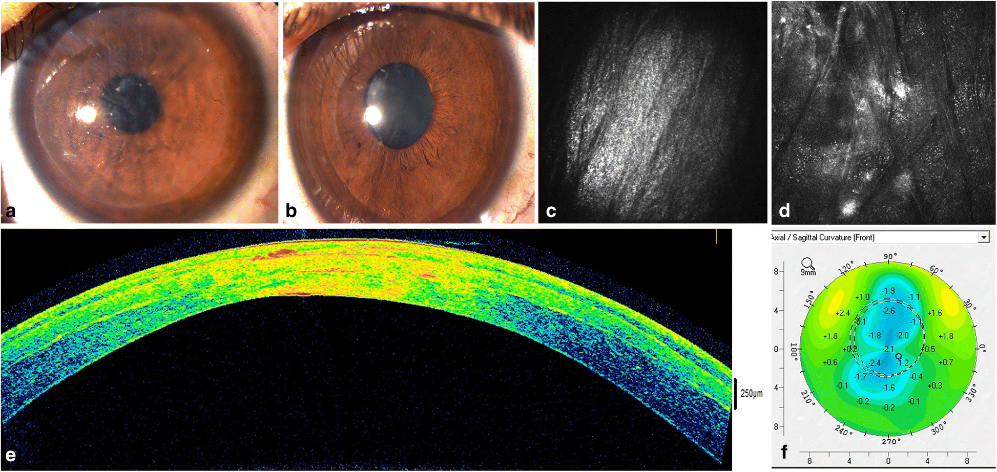 Fig. 4