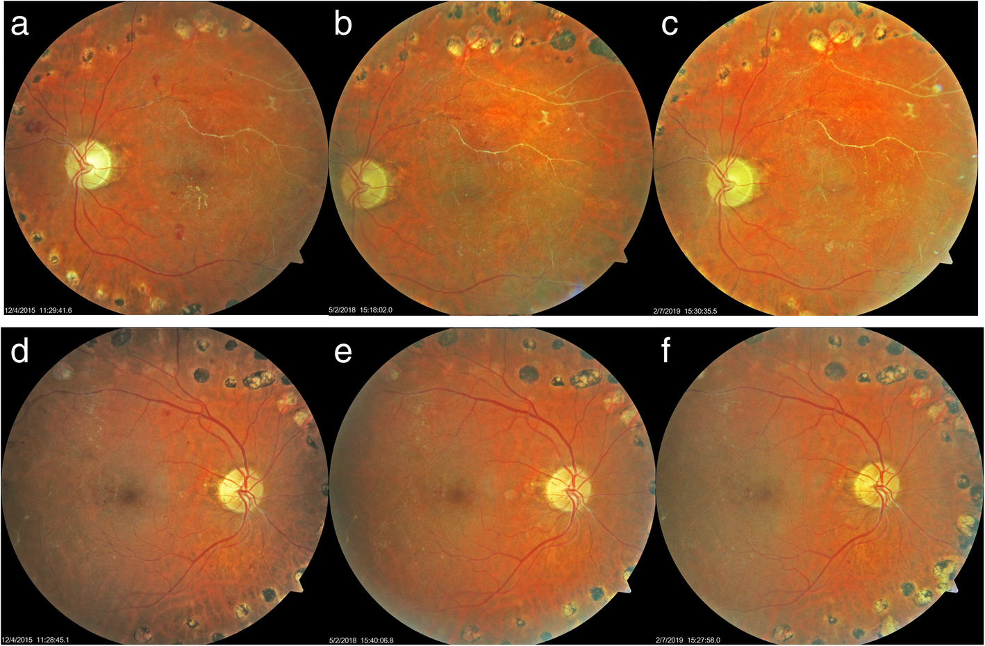 Fig. 6