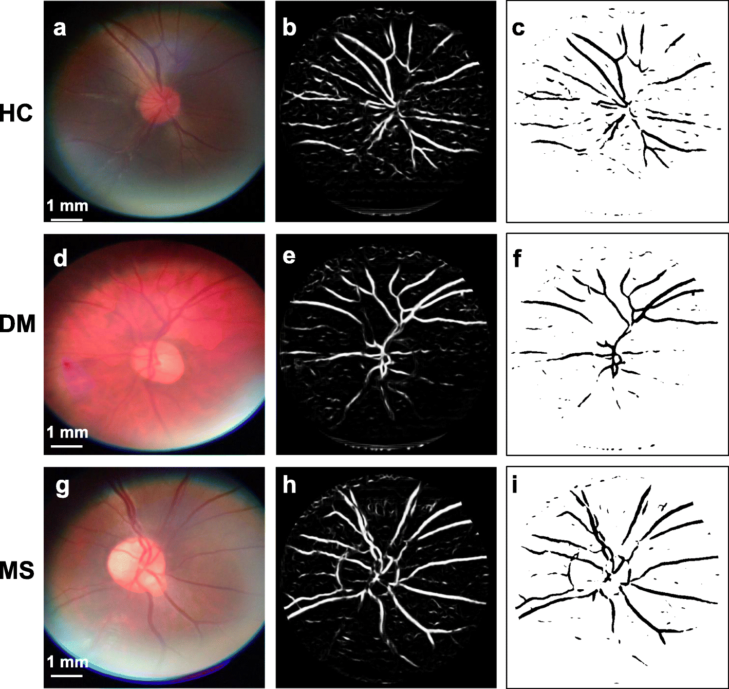 Fig. 6