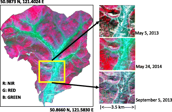 Fig. 1