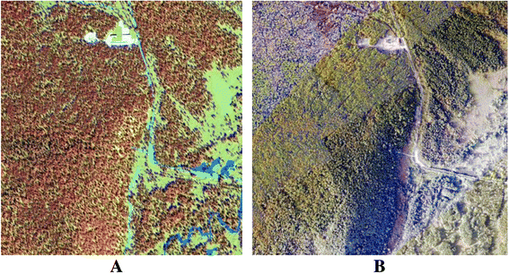 Fig. 9