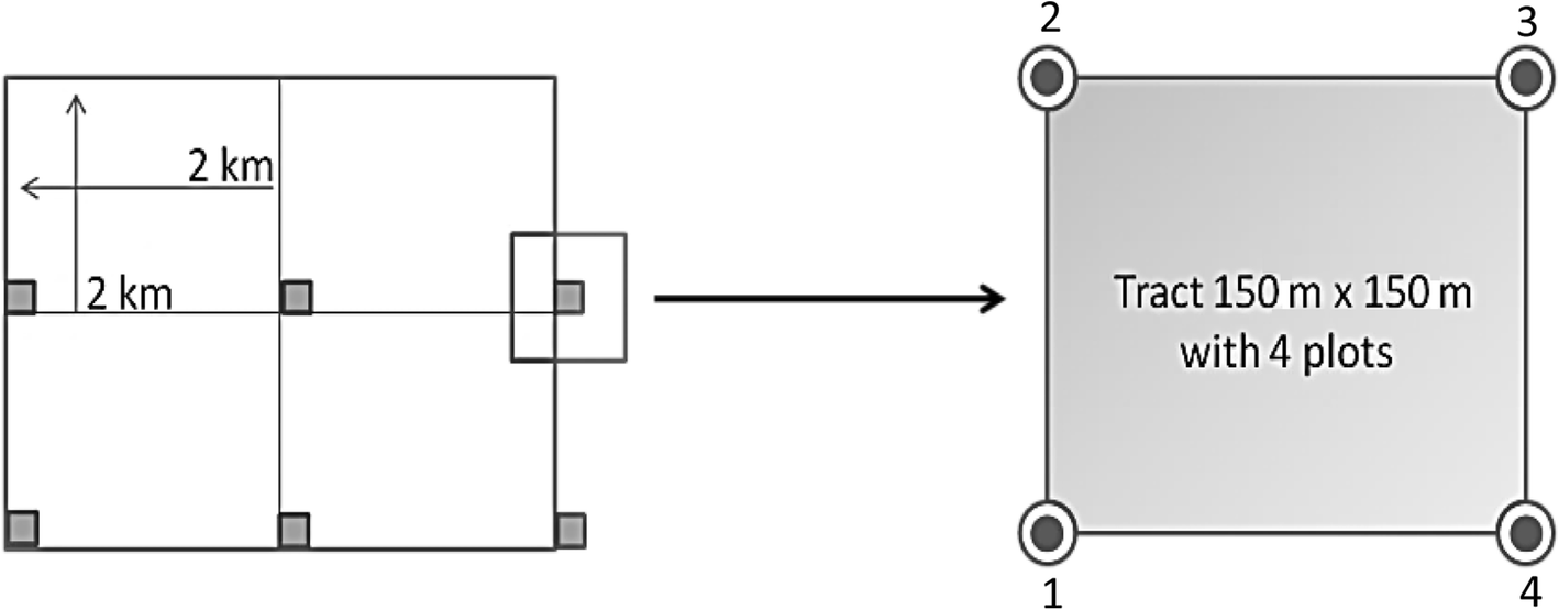 Fig. 1