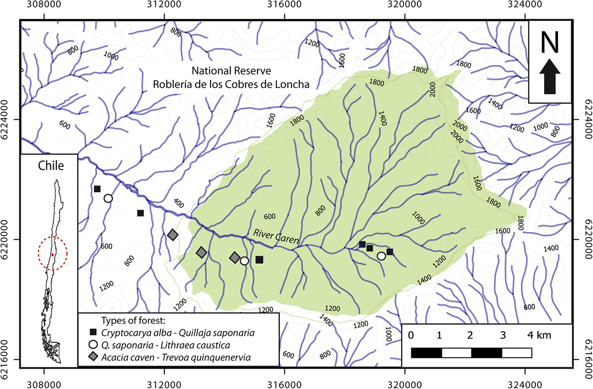 Fig. 1