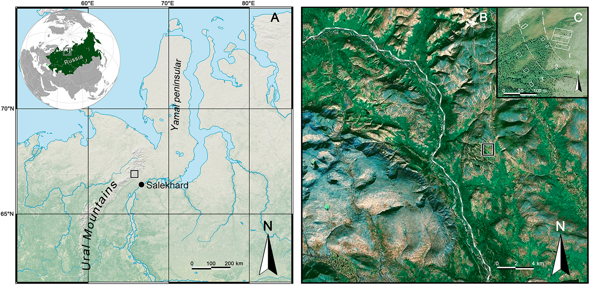 Fig. 1