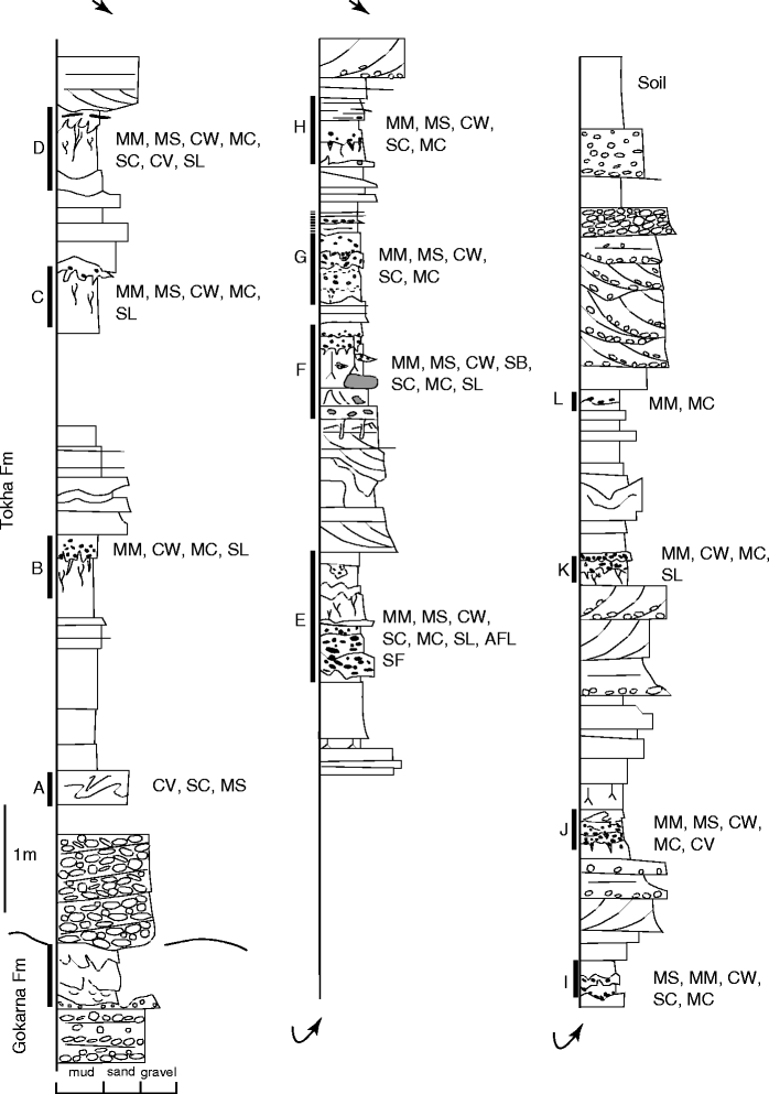 Fig. 4