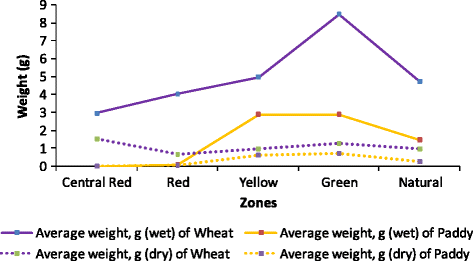 Fig. 11